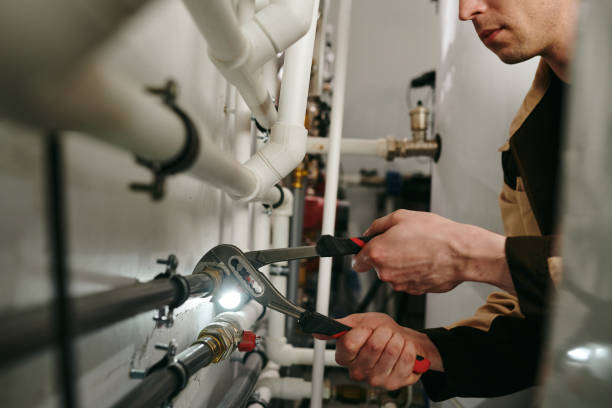 Best Local Plumber Services  in Elton, LA